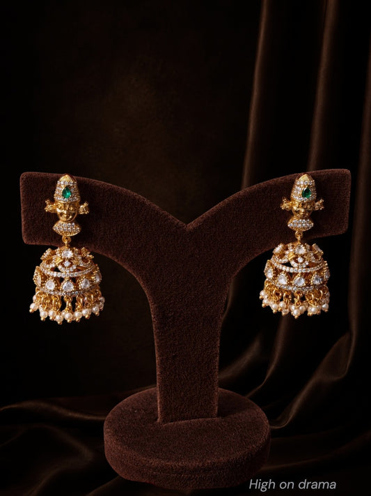 Aishani vishnu hasli